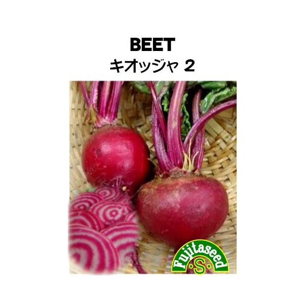 野菜 タネ 種 ビーツ キオッジャ２ 藤田種子 Buyee Buyee 日本の通販商品 オークションの代理入札 代理購入