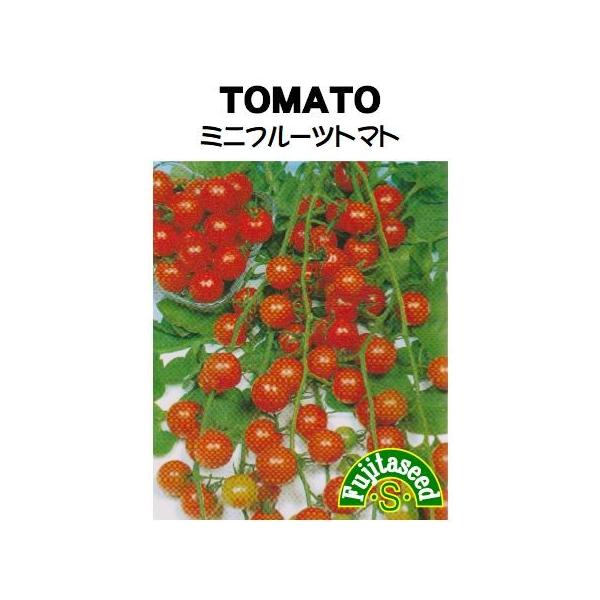 【栽培方法】１、一般のミニトマトと同じように栽培します。過湿に弱いので高畦にし、水はけ・風通しを良くします。２、元肥にカルシウムを十分に施します。本葉５〜６枚の頃、定植します。【利用方法】甘みの強い、赤色のミニトマトです。ジューシーで美味し...