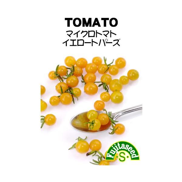【栽培方法】１、過湿に弱いので高畦にし、水はけ・風通しを良くします。２、本葉５〜６枚の頃、株間を十分に取って定植します。側枝は取らずに、適宜整枝します。十分な誘引をしてください。肥料は追肥で調整してください。【利用方法】珍しい超小粒の黄色い...