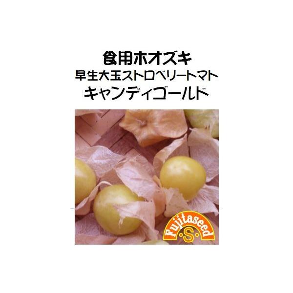 【利用方法】 草丈約40cm、枝が水平に伸び葉張り約80cmとなる品種で、花が咲いた後がくが発達し果実を包み込み袋状になります。がくが褐色化し中の果実が黄橙色に熟れると食べ頃です。 直径約２cmの果実は甘酸っぱくフルーティーです。生食、ジャ...