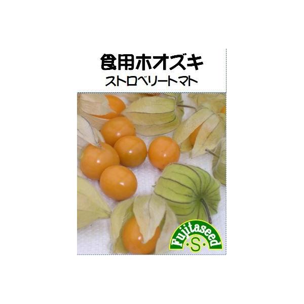 【利用方法】がくが袋状に大きくなり、その中に果実を包み込みます。盛夏を過ぎる頃から、がくが褐色化しその中の果実が黄橙色に熟れると食べ頃です。果実は直径約２ｃｍ。味覚は甘酸っぱくフルーティーです。果実は生食はもちろん、砂糖漬けやジャムなどお菓...