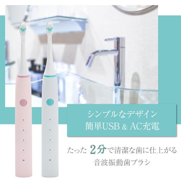 ヒーローグリーン　HG　電動ハブラシ　充電式音波振動 HD150