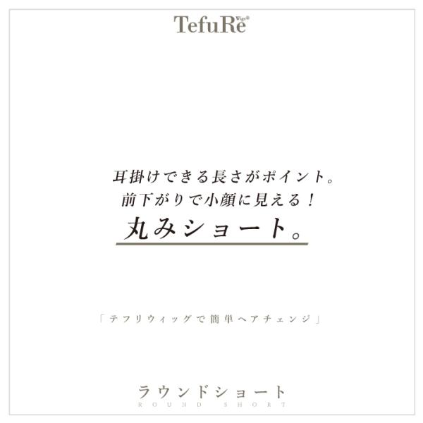 fujitatsu_d-3110_1_d_20240608194528