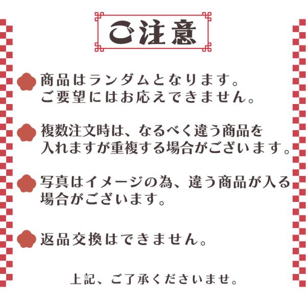 fujitatsu_fuku-2023wig_2_d_20230613105559