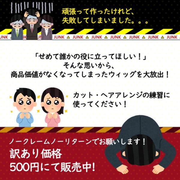 fujitatsu_junk-500_2_d_20250226134326