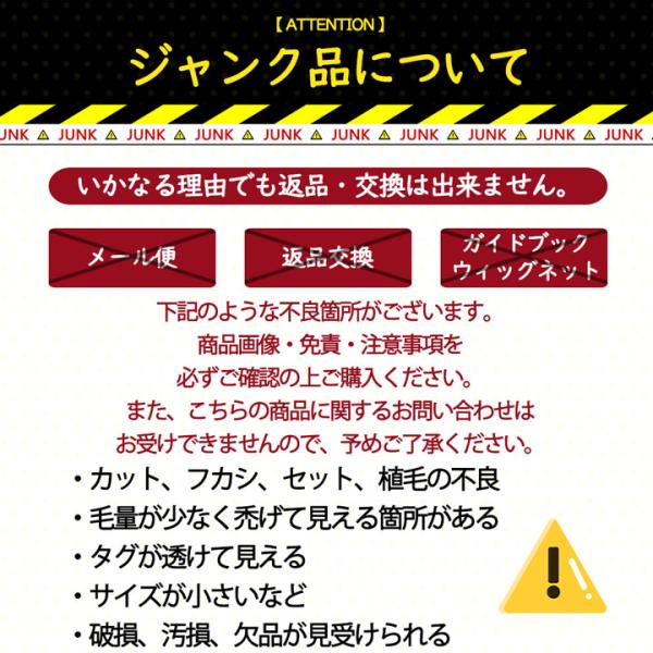 fujitatsu_junk-500_3_d_20250226134327