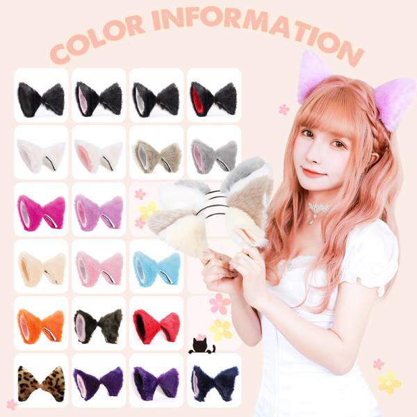 fujitatsu_kdg148_2_d_20240306100250