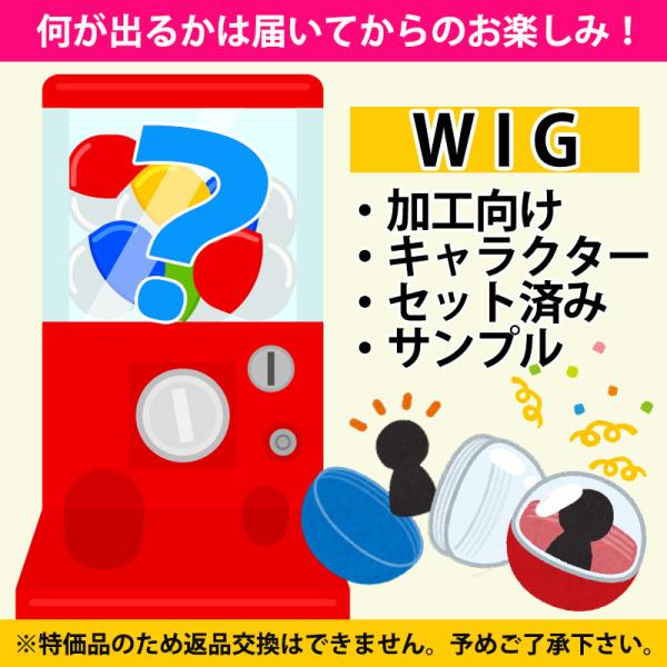 売り切り 訳あり 在庫処分 ランダム ウィッグ ショート ボブ ミディアム ロング キャラ キャラクター 耐熱 レディース メンズ ヘアセット カット ヘアアレンジ 練習 富士達 ふじたつ【コスプレウィッグガチャ】