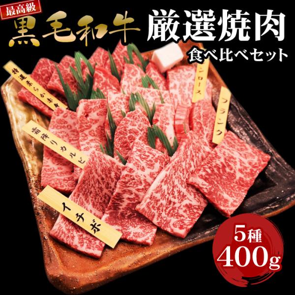 黒毛和牛 厳選焼肉セット 5種 400g 希少部位 入り 焼肉 食べ比べ 最高級 バーベキュー 肉 セット 福袋 BBQ 食べ物 ギフト プレゼント 爆買