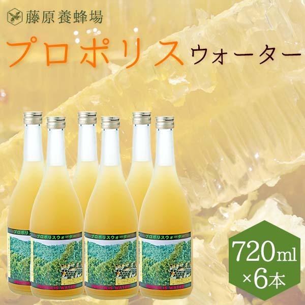 v|X@v|XEH[^[@v|X𐅂ɗnhN@720ml×6{@nƕS\]NVܓ{I