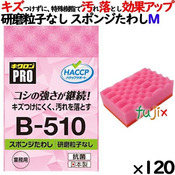 Ɩp X|W 킵 B-510 LNv X|W킵\tg sN  120 ^P[X