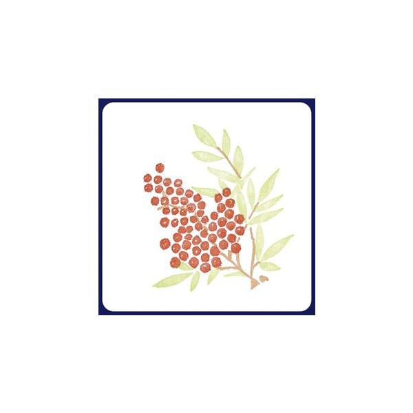 y󒍐YzR[X^[@V@2Fip^j 1P[X(100×20)