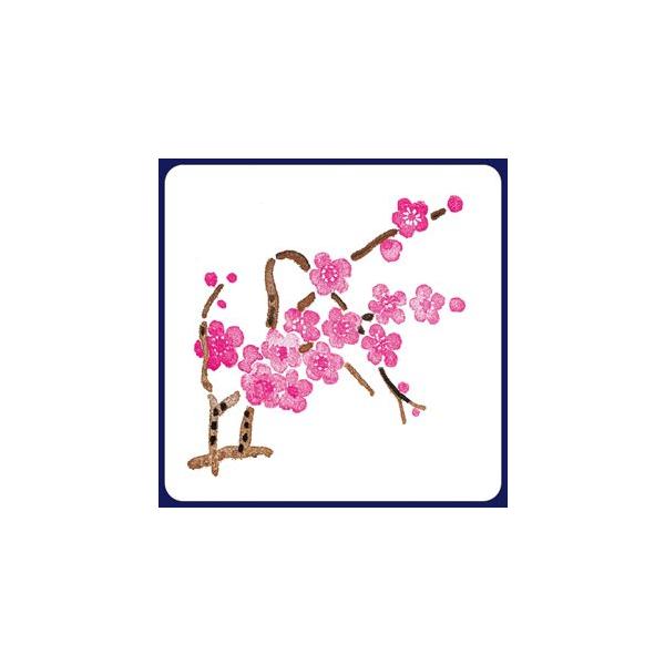 y󒍐YzR[X^[@~@2Fip^j 1P[X(100×20)