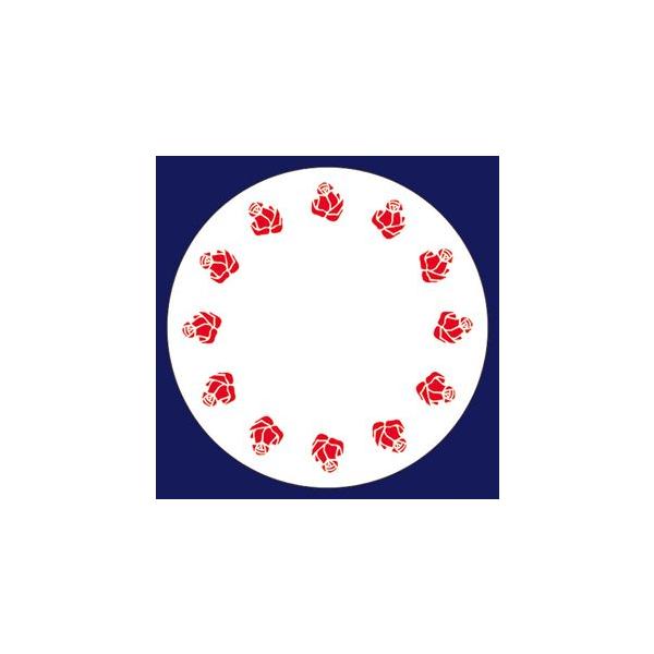 y󒍐YzR[X^[@oԁiی^j 1P[X(100×20)