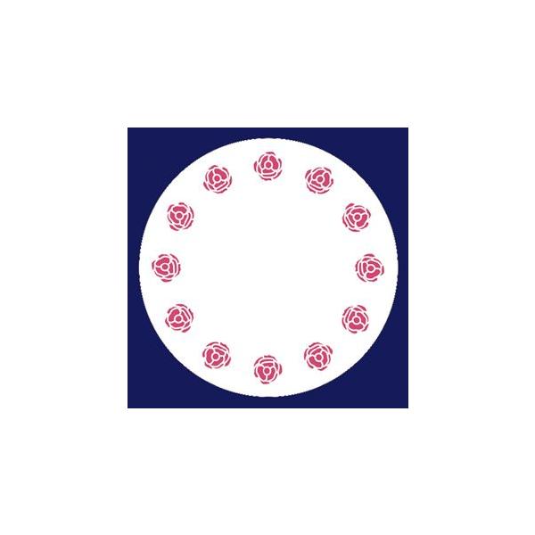 y󒍐YzR[X^[@΂ԁiی^j 1P[X(100×20)