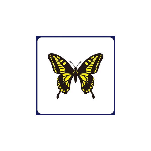 y󒍐YzR[X^[@pip^j 1P[X(100×20)