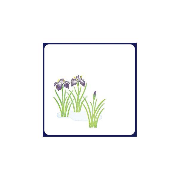 y󒍐YzR[X^[@VA@2Fip^j 1P[X(100×20)