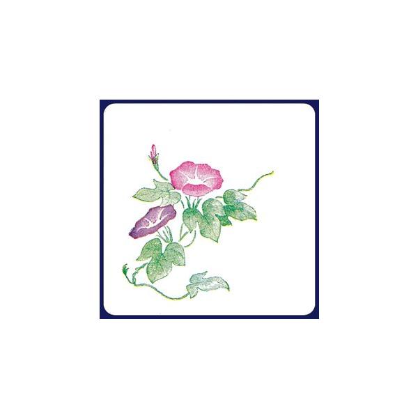 y󒍐YzR[X^[@@2Fip^j 1P[X(100×20)