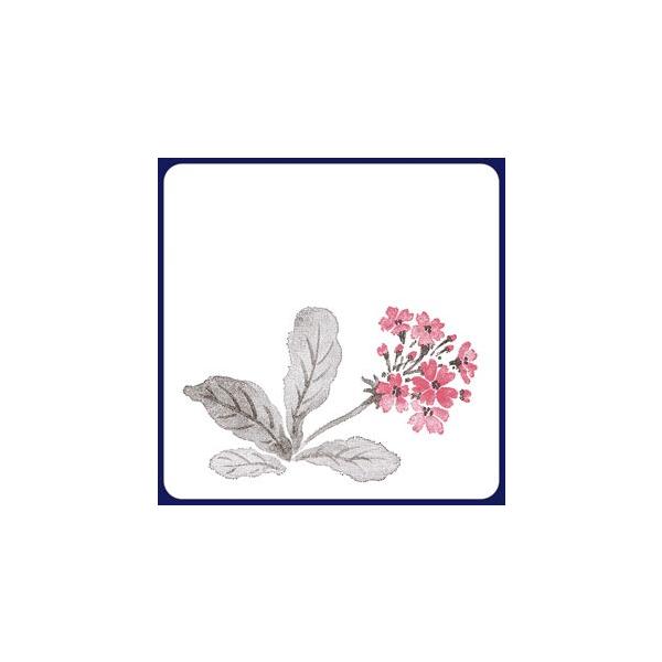 y󒍐YzR[X^[@@2Fip^j 1P[X(100×20)