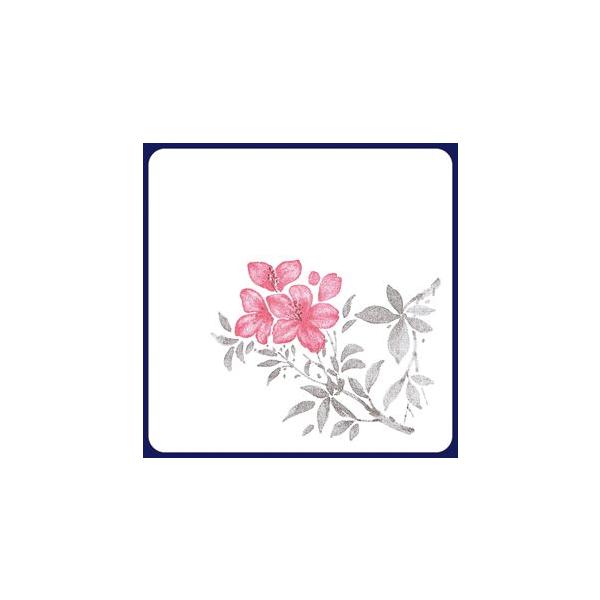 y󒍐YzR[X^[@@2Fip^j ^100iܓj