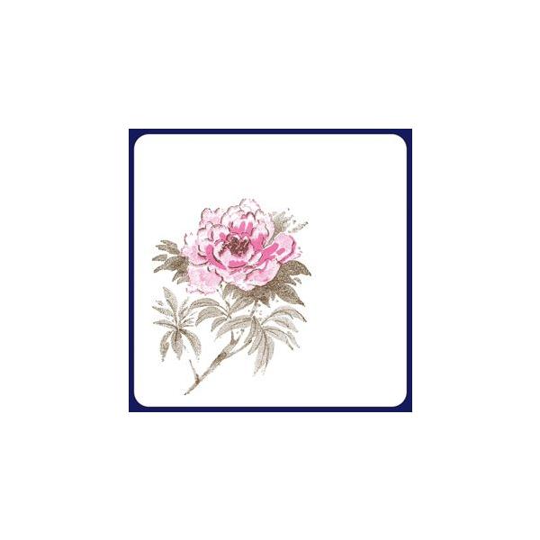 y󒍐YzR[X^[@O@2Fip^j 1P[X(100×20)