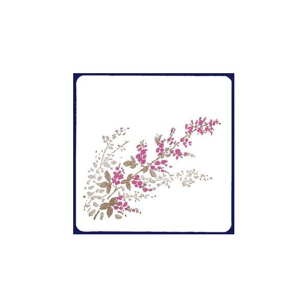 y󒍐YzR[X^[@͂@2Fip^j 1P[X(100×20)