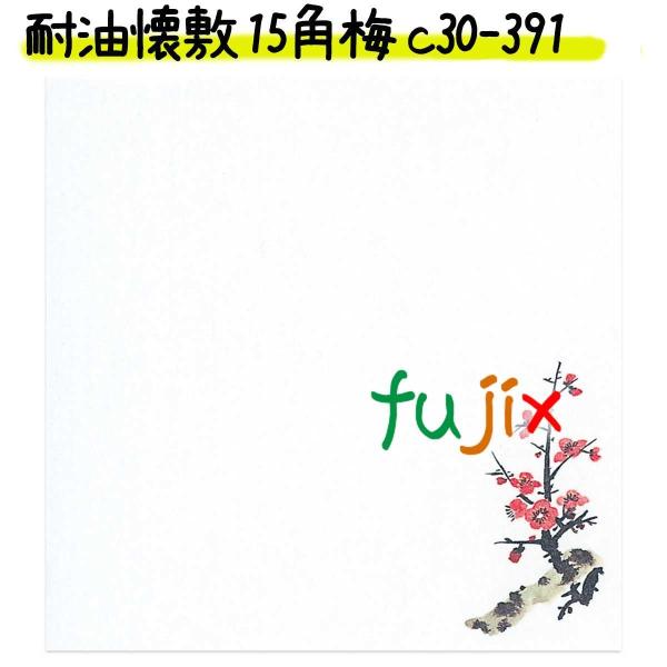 ϖ~ 15p ~ 1000 C30-391 @ȗ@