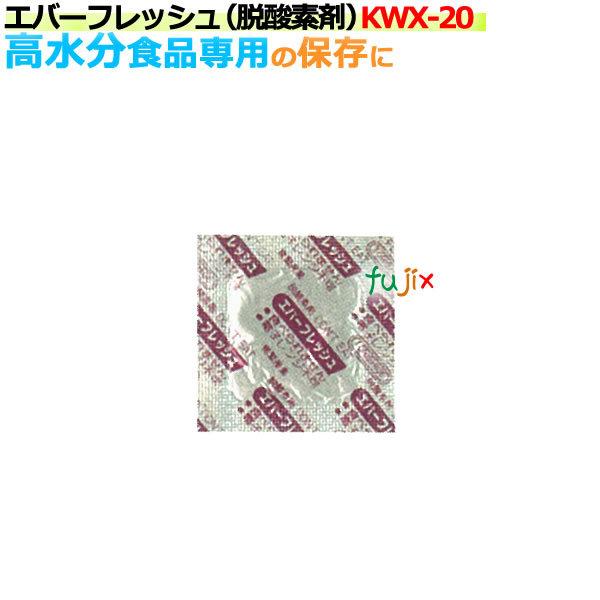 E_f Go[tbV KWX-20 ˑ^ 10000i400×25܁j/P[X