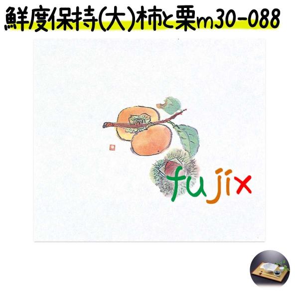 Nxێ ij `ƌI 100 M30-088 @ȗ