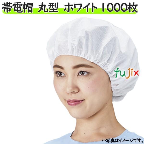 qLbv@qXq@ѓdX  ی^@zCg@1000i50×20܁j^P[X