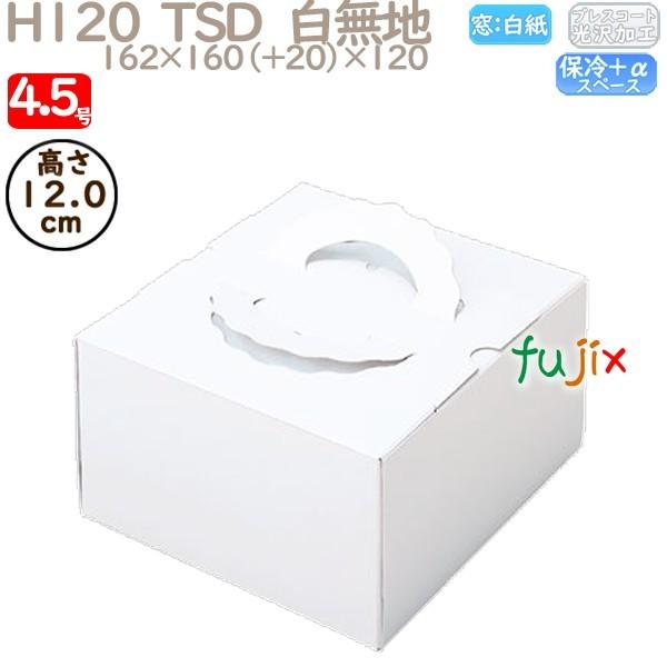 fR[VP[L H120  TSD@n 4.5 100^P[X O10120 P[L@Ɩp