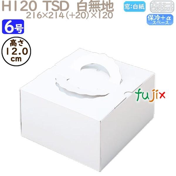 fR[VP[L H120  TSD@n 6 100^P[X O10140 P[L@Ɩp