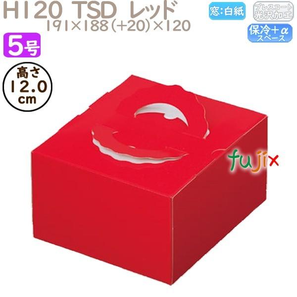 fR[VP[L H120  TSD@bh 5 100^P[X O20130 P[L@Ɩp