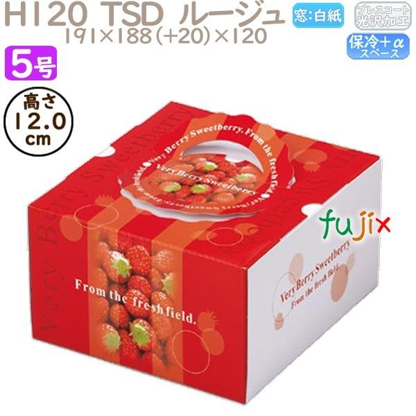 fR[VP[L H120  TSD@[W 5 100^P[X O40230 P[L@Ɩp