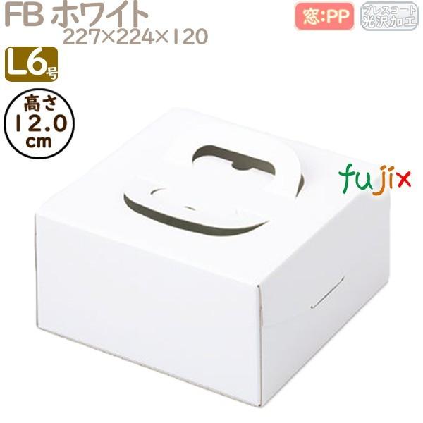 fR[VP[L FB zCg L6 100^P[X Q10150 P[L@Ɩp