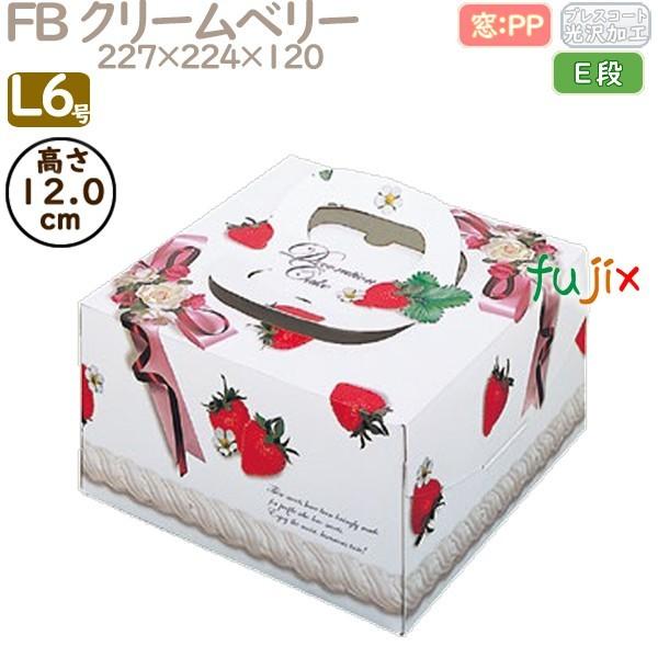 fR[VP[L FB N[x[ L6 100^P[X Q20250 P[L@Ɩp