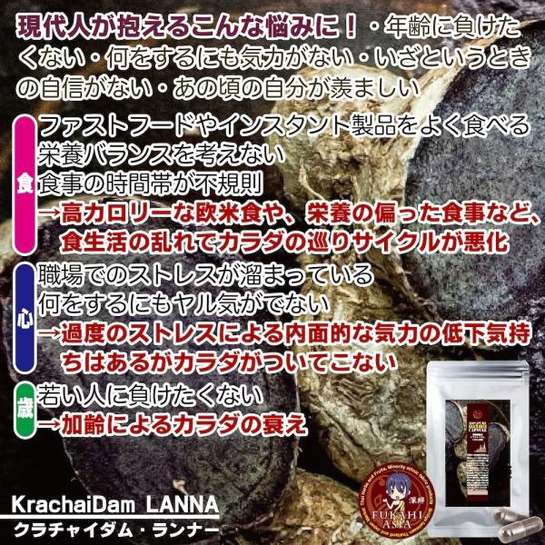 黒ショウガ 無農薬自然栽培クラチャイダム 100 45カプセル 15日分 入り 黒ウコン お徳な６ヶ月分セット ３ヶ月分セットや１袋からも別途ご用意 Prettyfunnyballoons Com