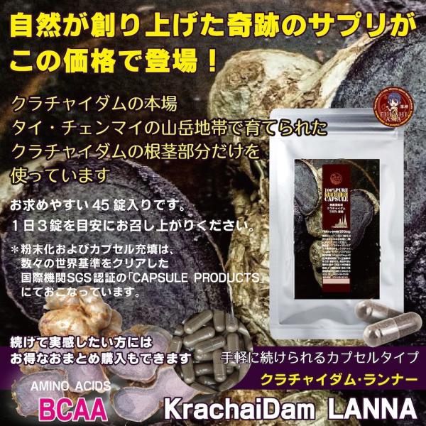 黒ショウガ 無農薬自然栽培クラチャイダム 100 45カプセル 15日分 入り 黒ウコン お徳な６ヶ月分セット ３ヶ月分セットや１袋からも別途ご用意 Prettyfunnyballoons Com