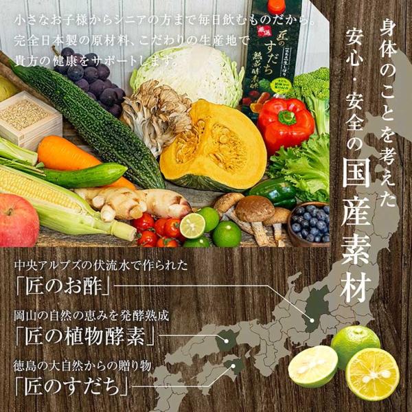 酵素ドリンク 厳選 匠のすだち熟成酵素酢 36本セット 砂糖ゼロ 保存料ゼロ 酵素酢 酢飲料 飲む酢 飲むお酢 健康飲料 美容ドリンク 健康ドリンク Buyee Buyee Japanese Proxy Service Buy From Japan Bot Online