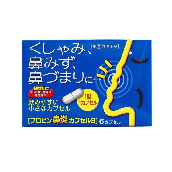 富山めぐみ製薬 プロピン鼻炎カプセルS（6カプセル） 急性鼻炎