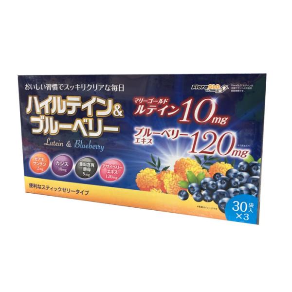 ハイルテイン＆ブルーベリー（30袋）3個セット スティックタイプ ゼリー ブルーベリー ハイルテイン アサイー カシツ 健康補助食品 元気プロジェクト