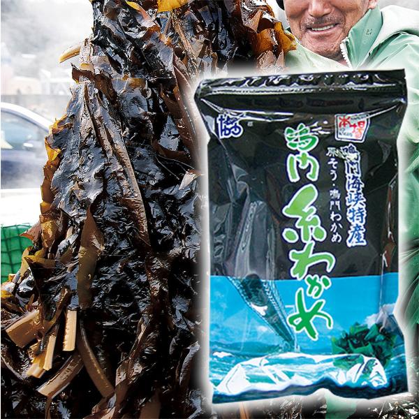 ※50g　チャック付パッケージ賞味期間／180日●おいしい召しあがり方／約10倍に増量します。ご使用になる分量だけを水にもどしてご使用ください。（夏季／5分位・冬季／10分位を目安にしてください）●主原料産地／徳島県、最終加工地／徳島県鳴門...