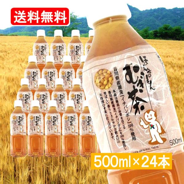 ほんまもん むぎ茶 500ml 24本 ペットボトル 国産 麦茶パック ベビー 赤ちゃん 子供大人 イチバンボシ 100% 大麦 裸麦 【むぎ茶500ml×24】