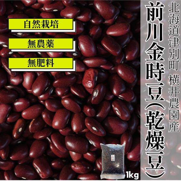 金時豆 前川金時豆 1kg【横井農園】 : 総合自然食品店ふきのとう - 通販
