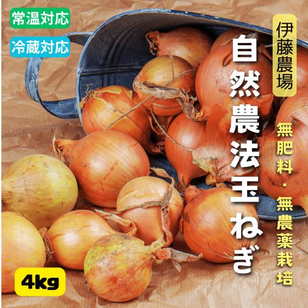 北海道産無農薬・無肥料栽培の完全自然農法玉ねぎ