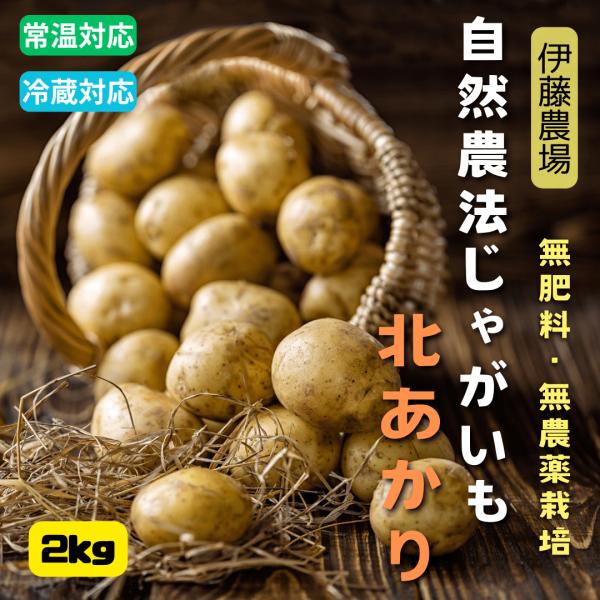 北海道産無農薬・無肥料栽培の完全自然農法ジャガイモ・北あかり