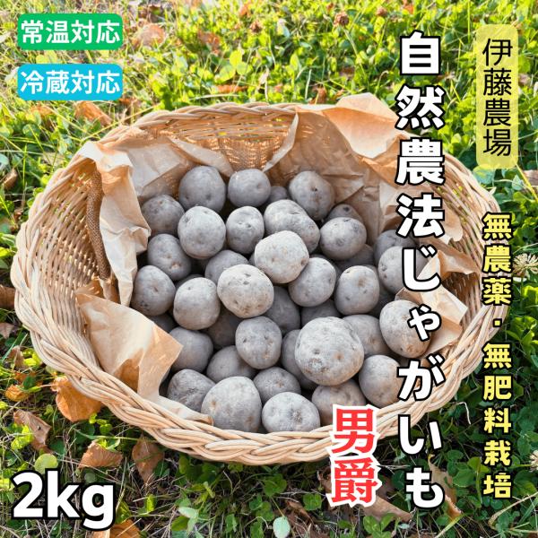 北海道産無農薬・無肥料栽培の完全自然農法ジャガイモ・男爵
