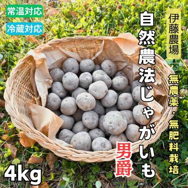 北海道産無農薬・無肥料栽培の完全自然農法ジャガイモ・男爵