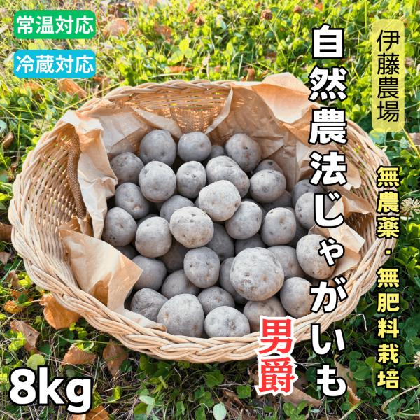 北海道産無農薬・無肥料栽培の完全自然農法ジャガイモ・男爵