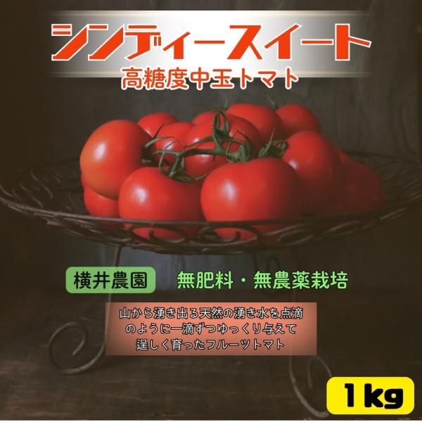 自然農法栽培 フルーツトマト 横井農園 1kg｜北海道産 シンディースイート 完全無肥料栽培 高糖度 中玉トマト 皮ごと カプレーゼ スムージー ギフト 無添加 国産